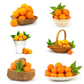 tangerines on white background - collage