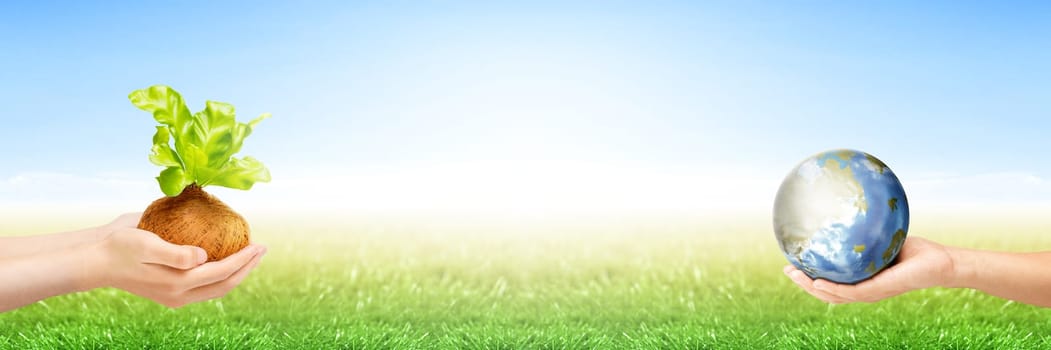 Two human hands holding young plant in the pots and earth planet on the green grass with blue sky background. Earth day concept