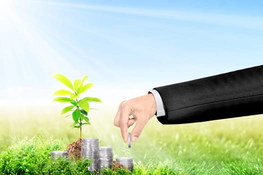 Businessman hand make a pile of coins beside young plant on green grass field. Profit beginning concept