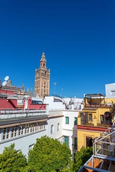 Apartment buildings with La Giralda bell tower of Seville Cathedral in the background in Seville, Spain