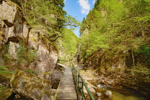 The Devin River Valley in the Western Rhodopes