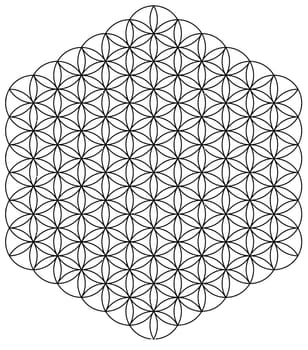 circles sacred symmetry esoteric hexagon illustration