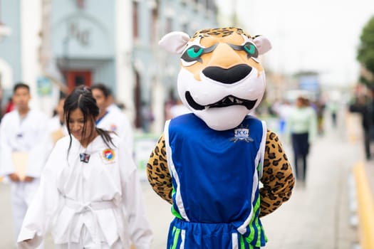 Matamoros, Tamaulipas, Mexico - November 20, 2018: The November 20 Parade, Man dress up as a Tiger, mascot of the prepa JCG