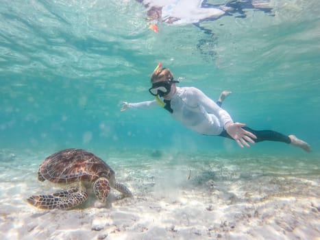 Woman wearing snokeling mask swimming with sea turtle in turquoise blue water of Gili islands, Indonesia. Underwater photo. Hawksbill sea turtle, Eretmochelys imbricata is endangered species.