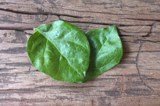 Heart symbol made Jasmine leafs . Concept love , Love mother