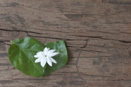 Heart symbol made Jasmine leafs . Concept love , Love mother