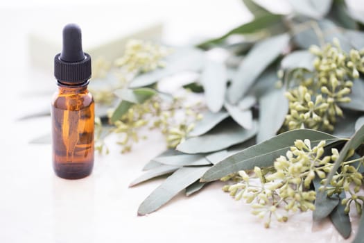 Bottle of eucalyptus oil with bar of soap and leaves.