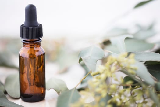 Bottle of eucalyptus oil with bar of soap and leaves.