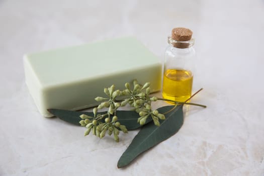 Bottle of eucalyptus oil with bar of soap and leaves.