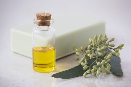 Bottle of eucalyptus oil with bar of soap and leaves.