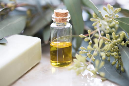 Eucalyptus oil in bottle with soap and leaves
