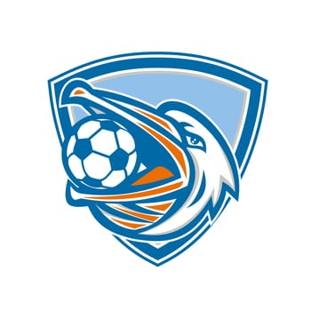 Illustration of a head of a pelican bird with soccer or football ball inside mouth looking up to the side set inside shield crest done in retro style.