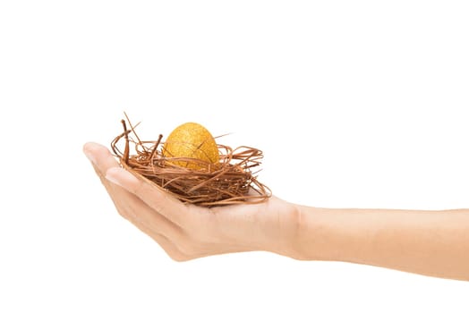 Human hand holding the nest with yellow easter egg isolated over white background. Happy Easter