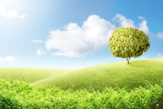Green grass field with tree over blue sky background