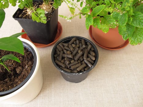 Horse manure pellets for fertilizing plants