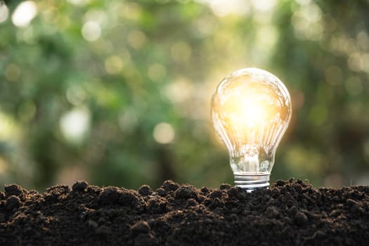 Light bulbs with glowing one. technology and creativity concept with light bulbs and copy space for insert text