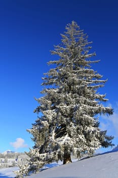 Sonthofen is known for its beautiful landscape and winter landscapes