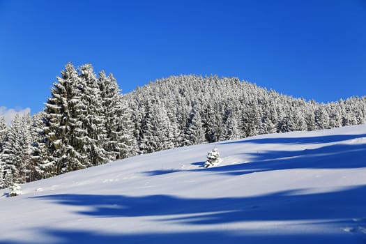 Sonthofen is known for its beautiful landscape and winter landscapes