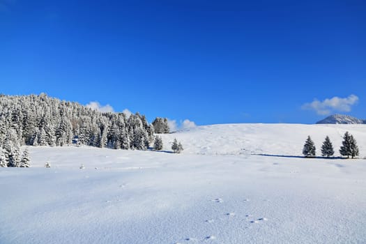 Sonthofen is known for its beautiful landscape and winter landscapes