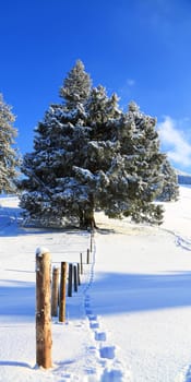 Sonthofen is known for its beautiful landscape and winter landscapes