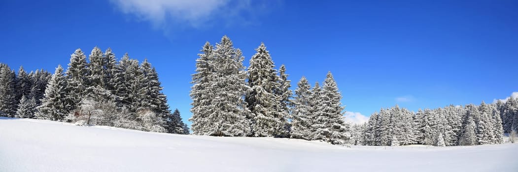 Sonthofen is known for its beautiful landscape and winter landscapes