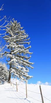 Sonthofen is known for its beautiful landscape and winter landscapes
