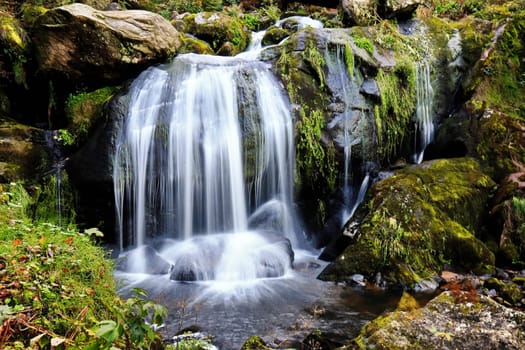 The Triberg waterfalls are the highest waterfalls in Germany