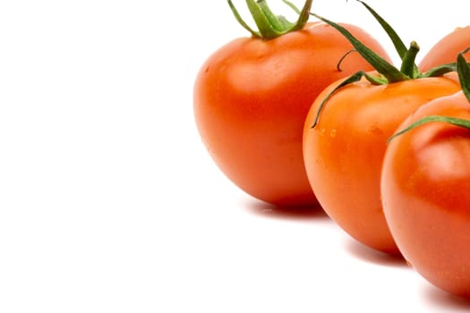 Tomato closeup on white background. Selective focus and crop fragment