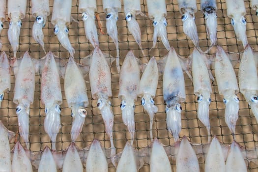 close up dry squid, tradition seafood in Thailand