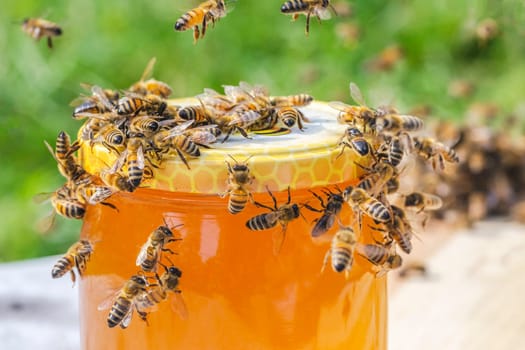 swarm of bees around a jar full of honey in apiary