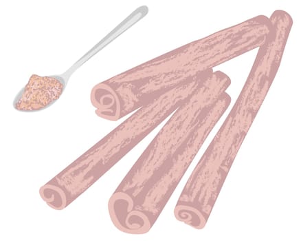 Cinnamon sticks and condiment powder in a spoon  vector illustration on a white background