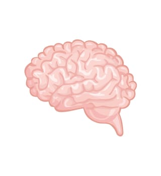 human brain science organ mental wisdom pink illustration