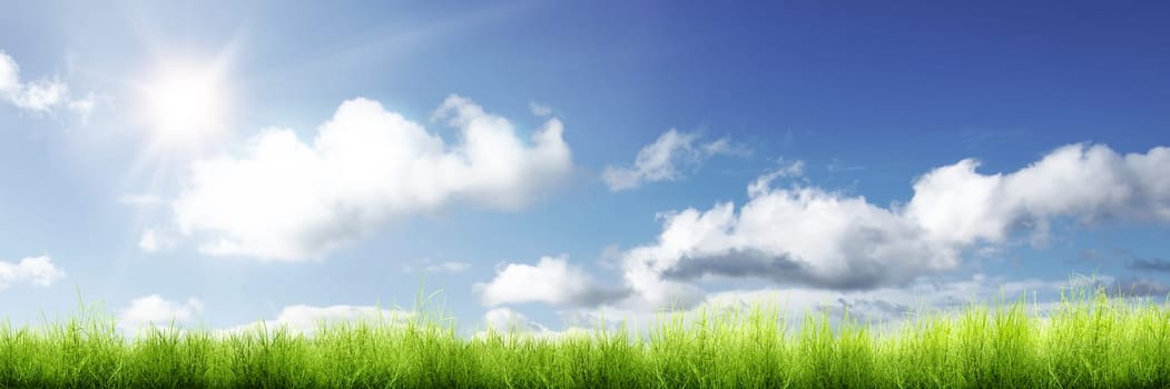 Panorama of green grass and sunlight with blue sky background