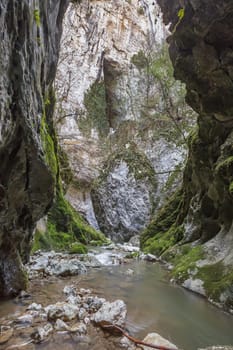 stream Ponicova in Ciucaru Mare Mountains, Romania