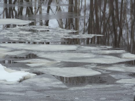 ice winter river tree reflected in the water