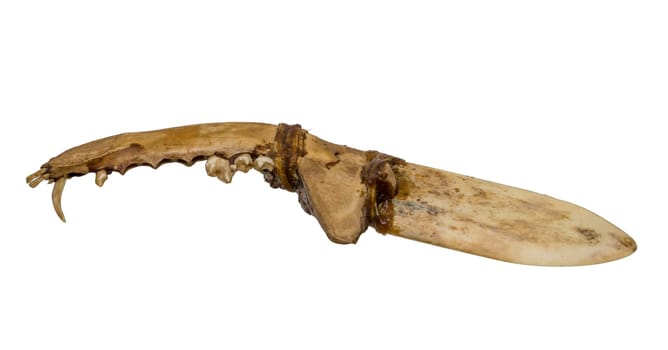 Old knife of the North American Indians of bone and tendon isolated on white