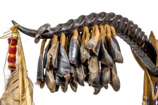 Dance rattle of the North American Indian horn with deer hooves and feathers isolated on white