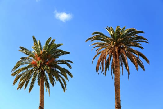 Agaete is a municipality on the Canary Island of Gran Canaria