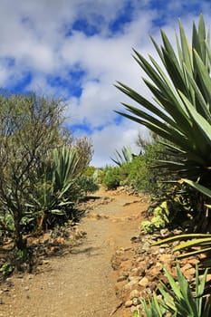 Bandama Crater is an extinct volcano on gran canaria