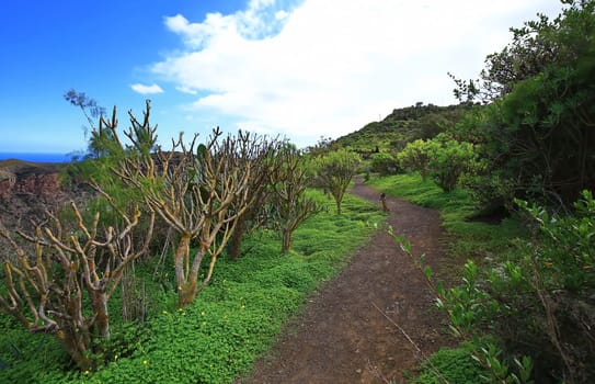 Bandama Crater is an extinct volcano on gran canaria