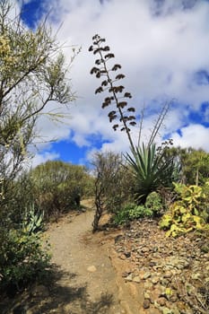 Bandama Crater is an extinct volcano on gran canaria