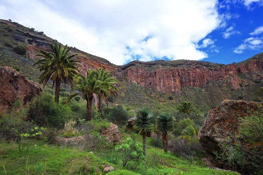 Bandama Crater is an extinct volcano on gran canaria