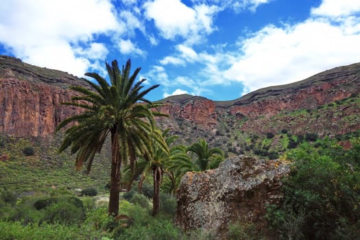 Bandama Crater is an extinct volcano on gran canaria