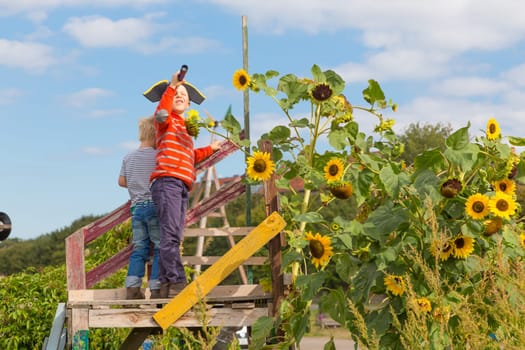 BERLIN, GERMANY- Sep 28, 2016: Kids playing pirates in urban gardens at Tempelhofer field, once airport, now a public park in Berlin, Germany, on 28th of september, 2016.