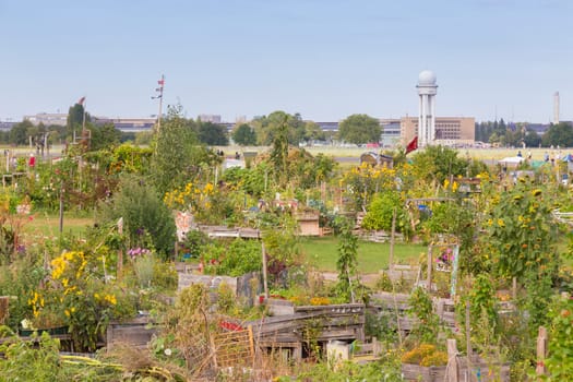 BERLIN, GERMANY- Sep 28, 2016: Urban gardening at Tempelhofer field, once airport, now a public park in Berlin, Germany, on 28th of september, 2016.