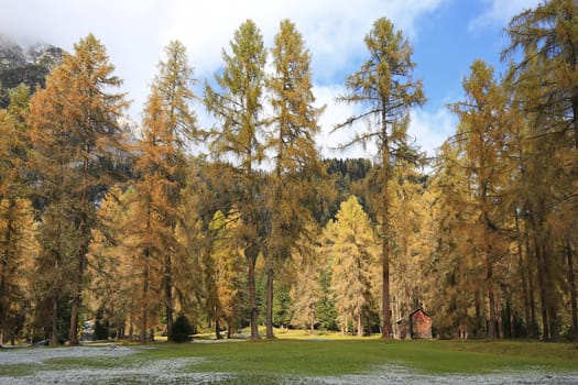 Fischleinbachtal is a place in the Dolomites