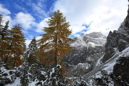 Fischleinbachtal is a place in the Dolomites