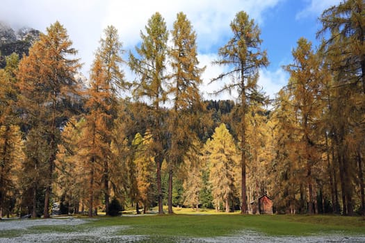 Fischleinbachtal is a place in the Dolomites