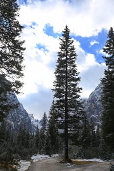 Fischleinbachtal is a place in the Dolomites