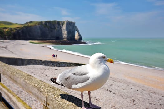 Etretat on the coast of France with wonderful landscapes